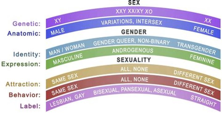Ana Maria Polo's Sexual Orientation And Impact